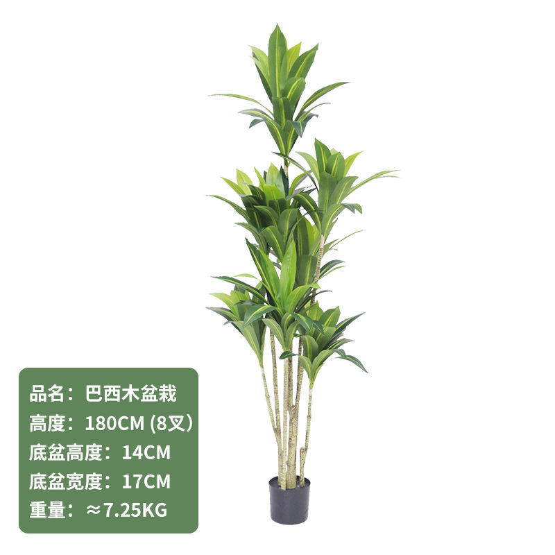 シミュレーション木ブラジル木盆栽シミュレーション緑植ブラジル鉄着地盆栽室内家庭軟装シミュレーション植物|undefined