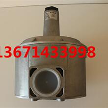 A143*RG050-2B燃气稳压阀 意大利GECA燃气DN50减压阀调压阀2bar