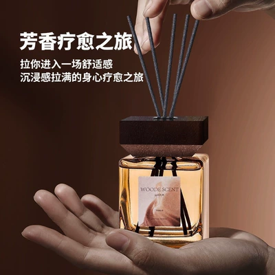 Car-mounted fragrance diffuser with Car Perfume Aromatherapy