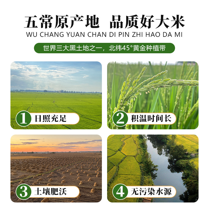 【2025新米】粮伯伯10斤五常大米稻花香二号真空包装黑龙江直发|undefined