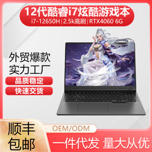 ��Ϸ���羺����ѧ����Ϸ���i7 RTX3060 RTX4060 ����gaming lapt