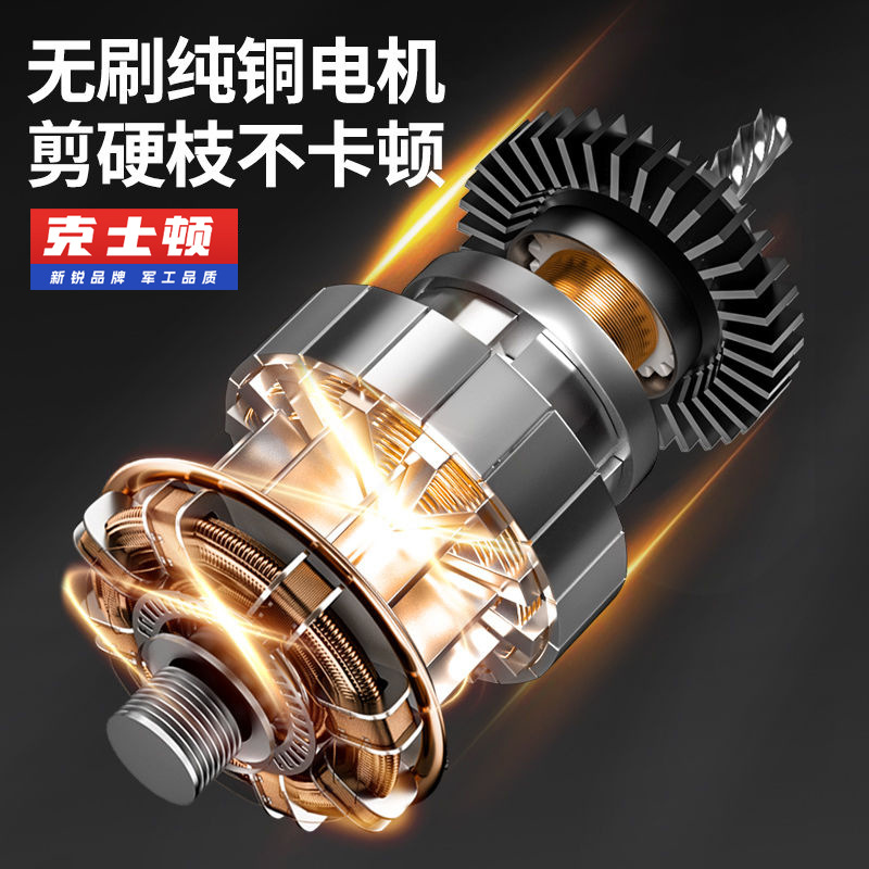 微信图片_20250211110209