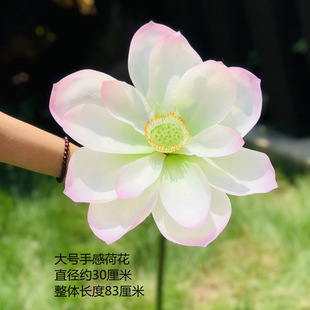 �߷���ɻ����~ɏźɏ���żӰҕ���M�쾰ͥԺ�ɻ�������