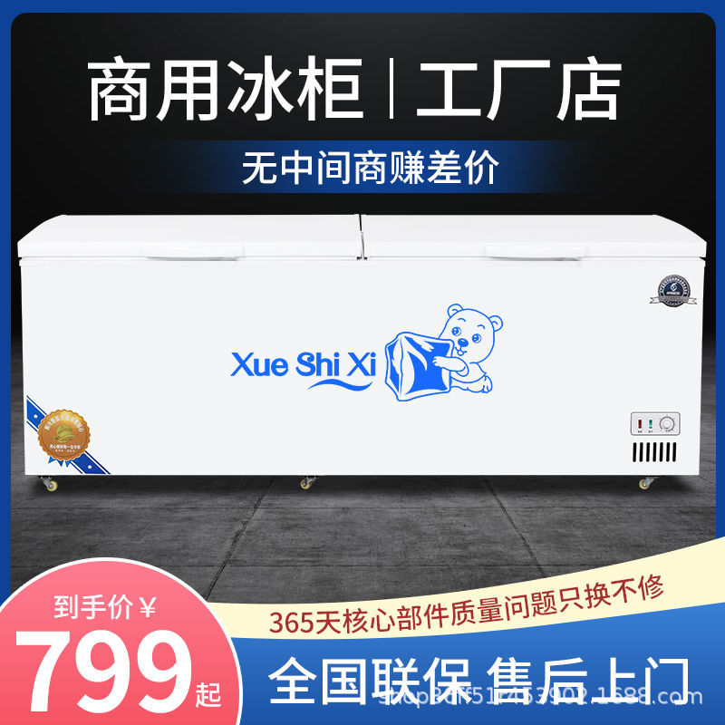Congelador Xueshixi Congelador comercial horizontal de gran capacidad refrigerado Congelador grande de doble uso Refrigerador de temperatura simple y doble
