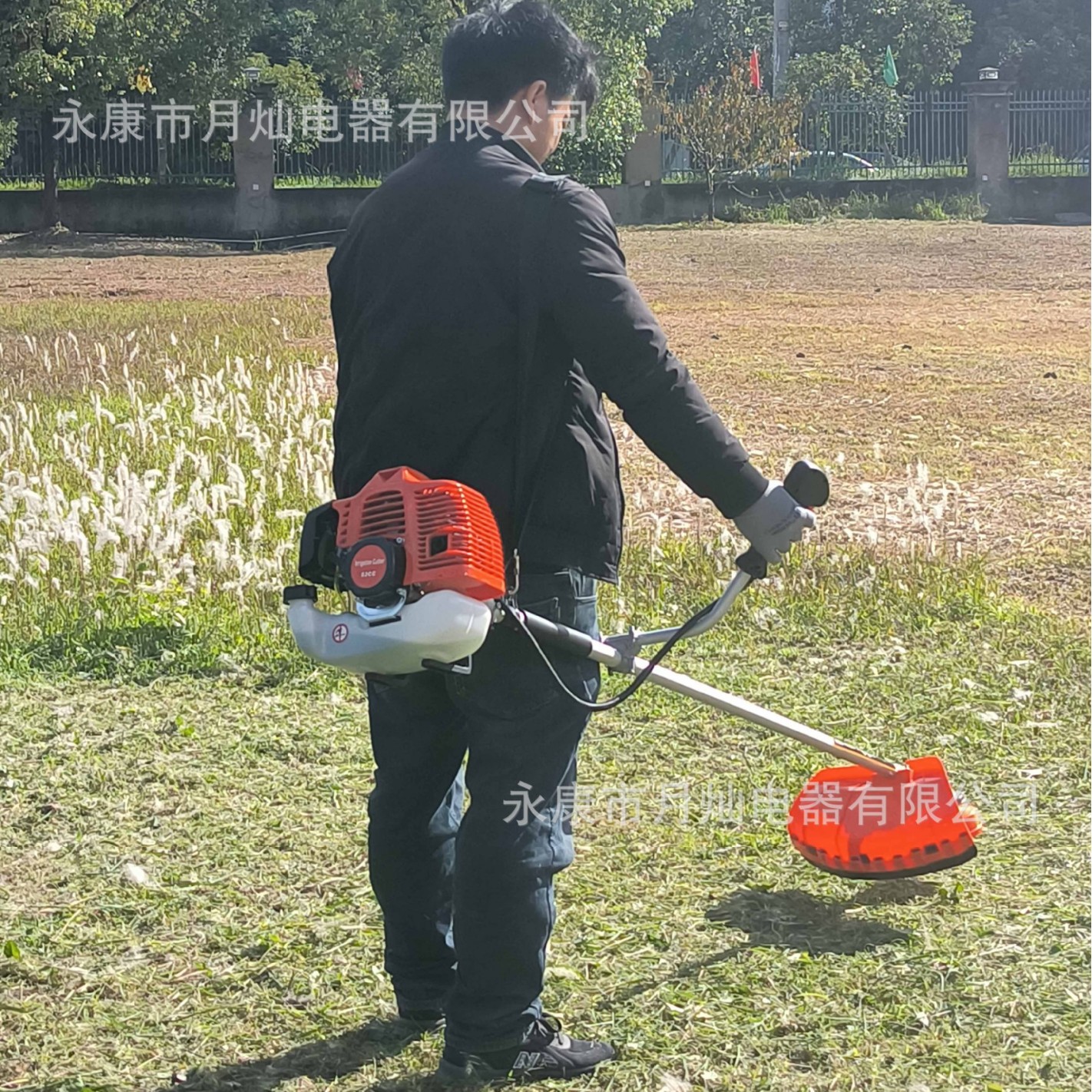 Brushcutter Débroussailleuses Recortadoras de césped cortadora