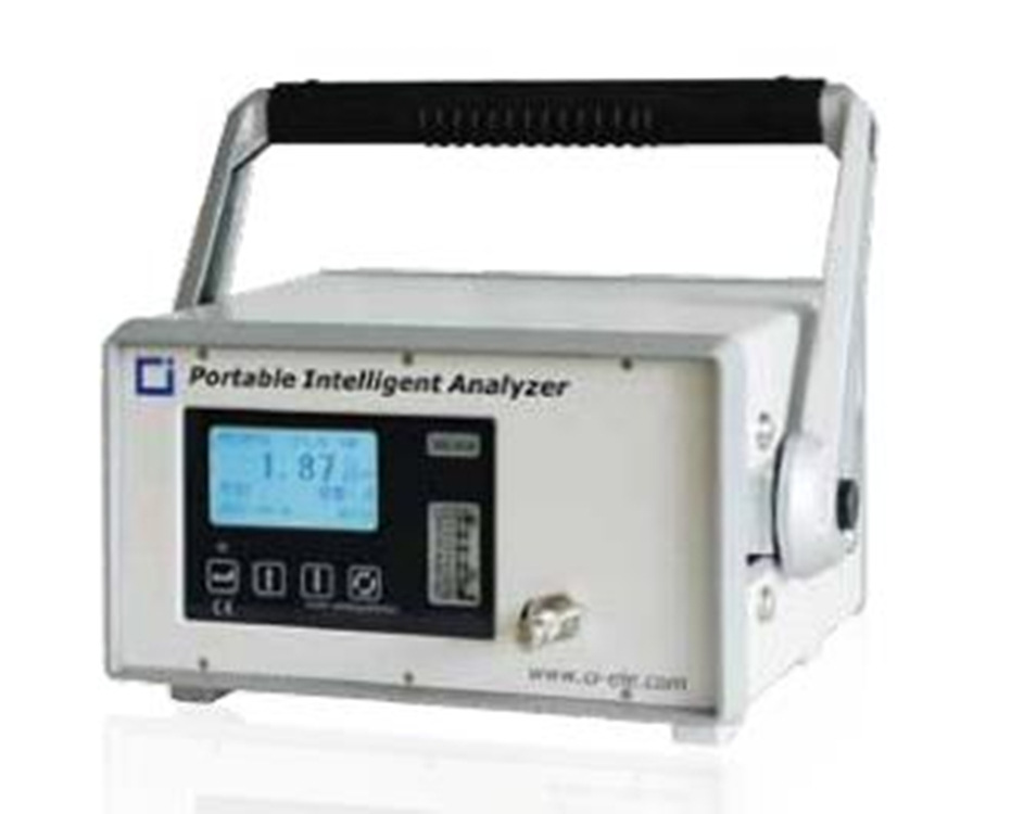 便携式微量氧分析仪0-1000ppm 型号:CP08/GNL-B1A库号：M400134