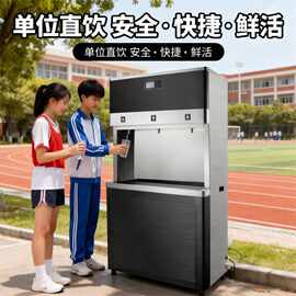 公共直饮机过滤加热一体机大型学校饮水机一开二温餐厅开水器
