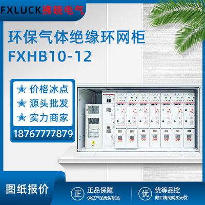 环保气体绝缘环网柜HB10-12高压开关柜10-12KV带开关型电缆分支箱