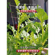 �����ļ��_������N���S��ջ��N�Ѵ���ľ�����׷N�׻��