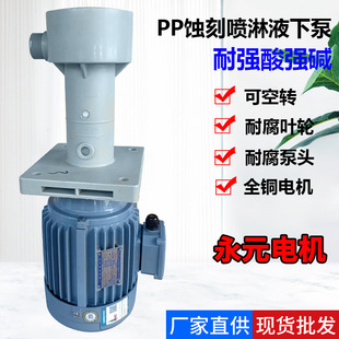 勝川寶化學鎳立式泵永元電機PP噴淋液下循環泵槽外泵過濾機配用泵