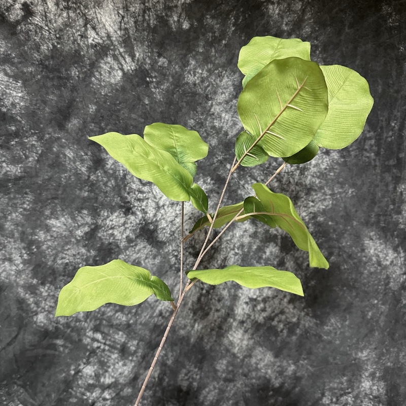 Grapefruit leaves-green
