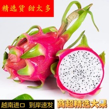白心火龙果越南新鲜进口精选自然大果热带水果清甜多汁脆嫩爽口