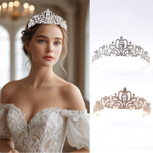 2025�����Q�羳����ʹښW�����ջ�Y���ںϽ�l�������^�Ů�ʯ