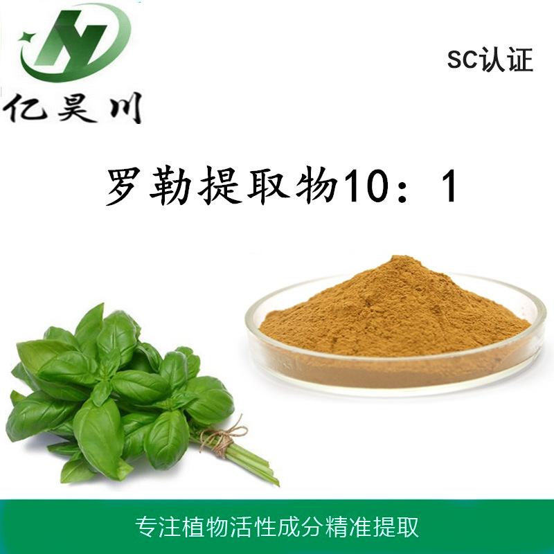 罗勒提取物厂家10:1 全水溶罗勒粉 罗勒浸膏粉现货量大从优