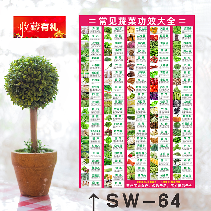 Common Posters on the Benefits of Vegetables and Fruits, Food, Dietary Nutrients, Index Content, Human Body Adhesive Indoor