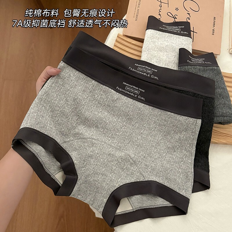 Gray Women's Boxer Briefs, Pure Cotton, Silk, Antibacterial, Extended Crotch, Mid-High Waist, Seamless, Plus Size