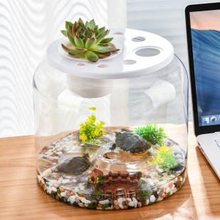 High-definition turtle jar with lid transparent micro-landscape living room plastic household turtle jar desktop landscaping for turtle breeding
