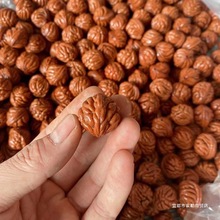 包浆龙纹桃核散籽 有孔 秦岭野生霸王龙疙瘩龙手串原料批发光霍勒