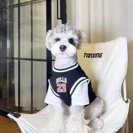 狗狗衣服中小型犬雪纳瑞博美泰迪夏季拼接薄款T恤宠物拼色防掉毛