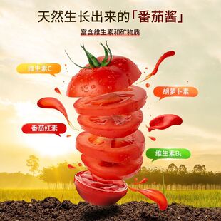 �ͺӷ����u���^�½����t���u���o���ǝ�s�����u��