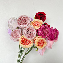 �羳3�^�W˹�����滨�c��Y���b��û��Ƶ�Ҿ�ܛ�bõ��ٻ�