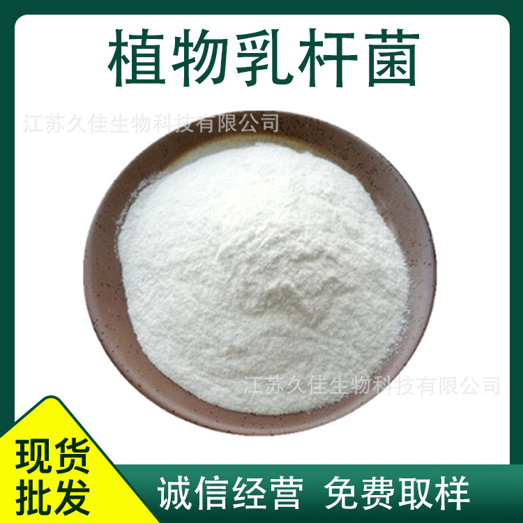 久佳冻干型乳酸菌粉益生菌固体饮料食品发酵原料粉植物乳杆菌