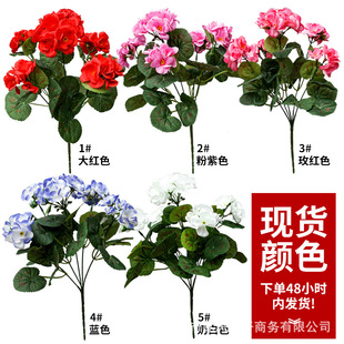 ԭ��F؛�羳���R�dTEMU����վ���u����溣�Ļ����ÿ��ٻ����컨