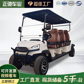 电动观光车;高尔夫球车;其他电动车