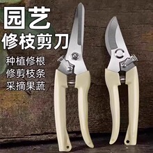 �����޻�ľ����޽ӈ@�ּ���Ï���䓴�֦��ʡ����֦�Ϲ������@ˇ