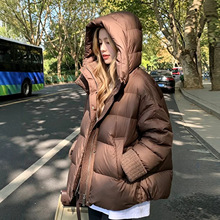 2025�궬���¿��Bñ�r�Ќ��ɴ�aС����Ů�������\����