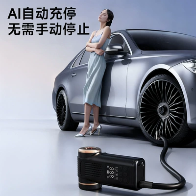 Car Vacuum Cleaner and Air: Tozsoranlar