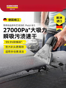 German Kärcher Imported Fabric Sofa Mattress Carpet Cleaning Machine Spray Extraction Cleaning Machine Carpet Cleaning Tool Pu Array Fruit