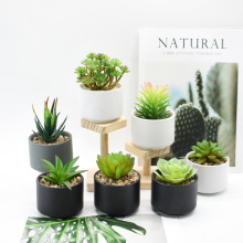 ����Gֲ�����辰�ٻ��մɼҾ��b[�����ϻ���ֲ��羳��������