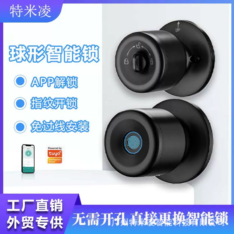 智能门锁指纹锁公寓民宿出租房跨境涂鸦蓝牙密码办公室新型球锁