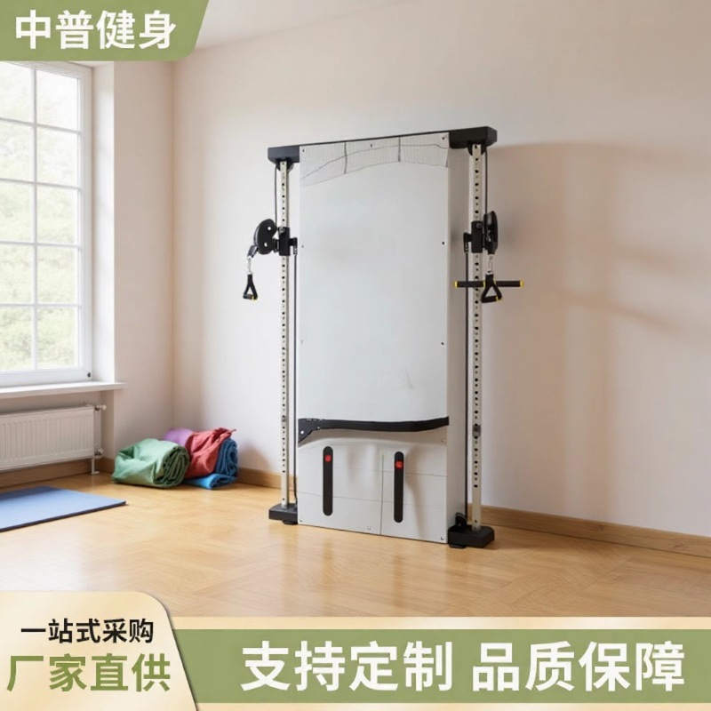 Source Household and Commercial Comprehensive Fitness Equipment Small Flying Bird Equipment Wall-Mounted Flying Bird Rack Wall-Mounted Flying Bird Trainer