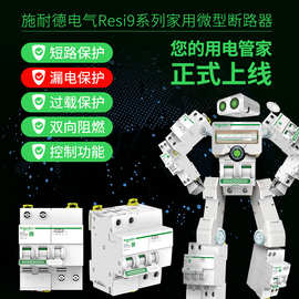 施耐德R9系列空气开关 带漏电保护器 总开关断路器电闸16A-63A