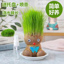 �L�������׃��@��ͯ�NֲС���� �^��ֲ���diy�N�ݷN�Ӳ��^Ȥζ