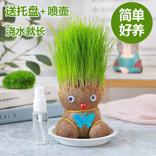 �L�������׃��@��ͯ�NֲС���� �^��ֲ���diy�N�ݷN�Ӳ��^Ȥζ