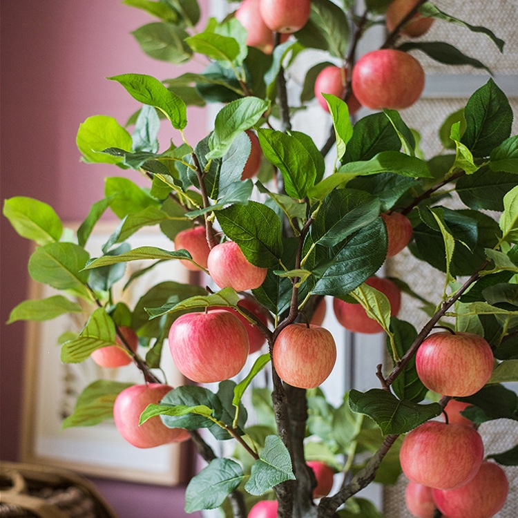 Apple tree bonsai potted plant decorative ornaments meaning fruit trees are safe and safe holiday gifts 2