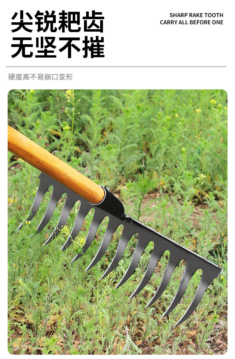 钉耙_03.jpg