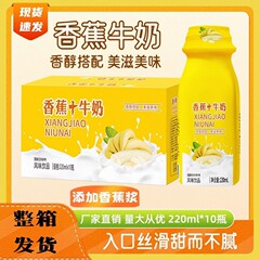 香蕉牛奶风味饮料口感丝滑营养早餐奶香浓美味饮品
