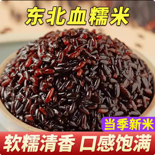 ѪŴ�׺�Ŵ�����ږ|���������������������Һ��Ӿ�����������׸�