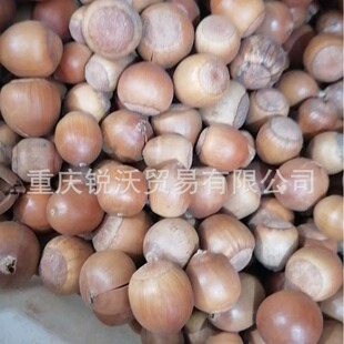 1����ɢ�b���l���ӂ������w�Ƀ���������