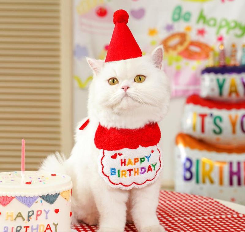 宠物狗狗猫咪生日派对装饰装扮围脖拍照道具围巾帽子围兜蛋糕蜡烛|undefined