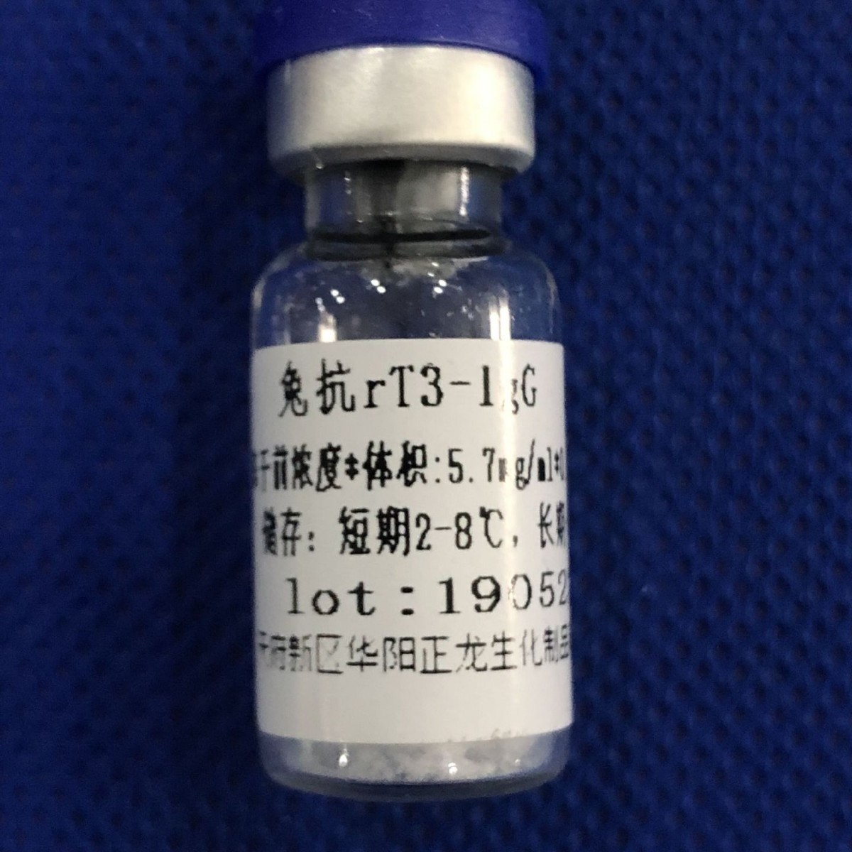 �ÿ���T3��rT3������