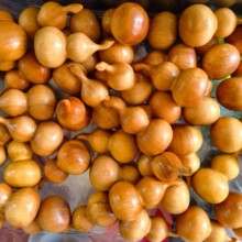 �����°�ľ����J��ľ�ְѼ���ˇƷꐻ���ζ�����S����������[��