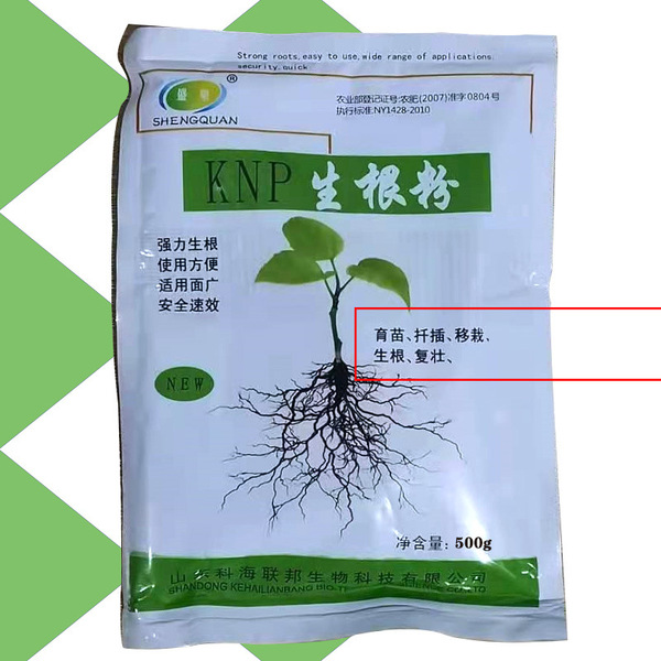 Powerful rooting powder Monthly succulent plants universal cuttings…