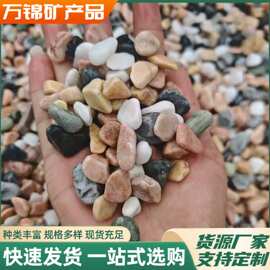 彩色小石头多肉铺面石子花盆小白石五花石园艺鱼缸造景装饰五彩石