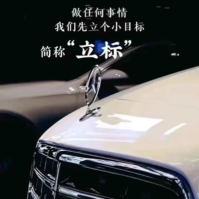 Car logo: Logo C200E300Le260Ls-Class S450 Original