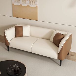 Simple Combination Sofa Small Apartment Internet Celebrity Living Room Technology Cloth Modern Simple Single Double Three Bedroom Light Luxury